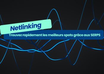 Netlinking : Analyse automatisée de l’ensemble des catalogues grâce à vos requêtes clés